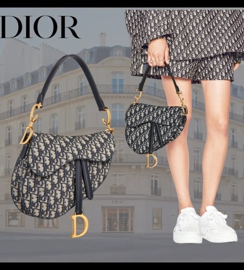 디올 오블리크 새들백