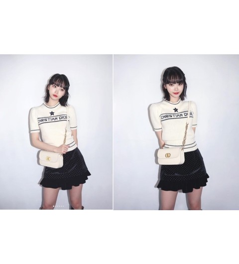 디올 christian dior 반소매 스웨터 - 2 Color