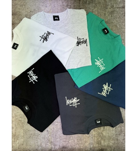 스투시 베이직 반팔티 (6color)
