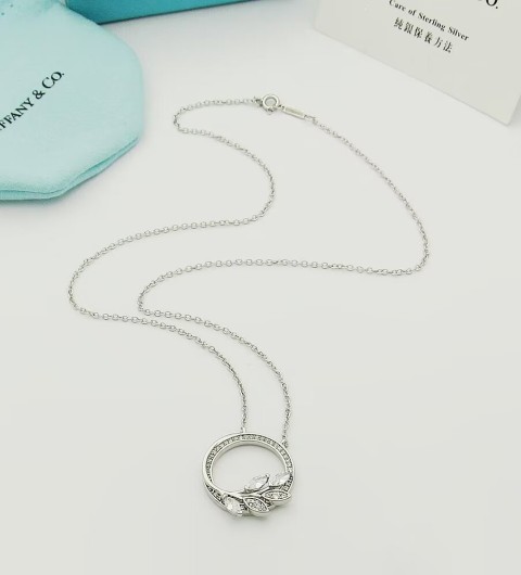 티파니 빅토리 플래티늄, 다이아몬드 세팅, 바인 서클 펜던트