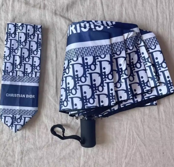 크리스찬디올 오블리크 우산