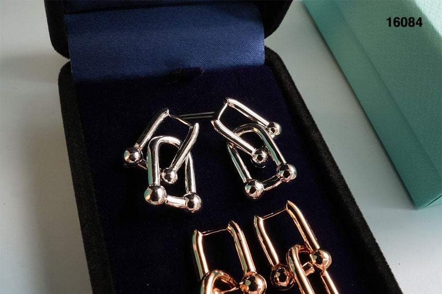 티파니앤코 하드웨어 라지 링크 이어링 - 2 Color